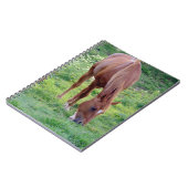Sorrel Gelding Notitieboek (Linkerzijde)