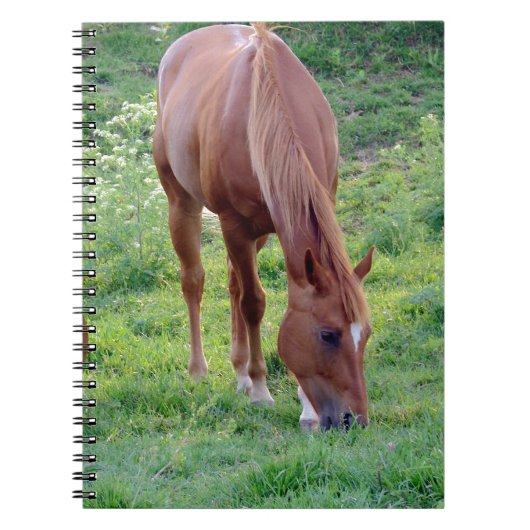 Sorrel Gelding Notitieboek (Voorkant)