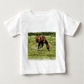 Sorrel Horse (Voorkant)