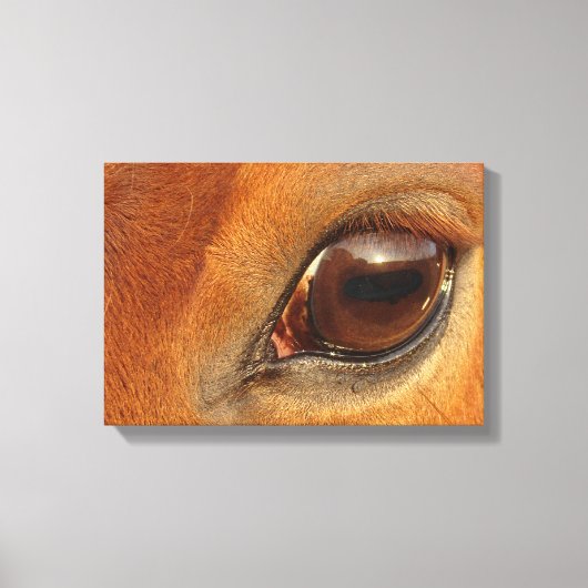Sorrel Horse Eye Canvas Afdruk (Voorkant)
