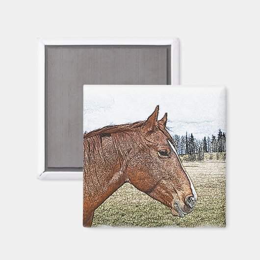 Sorrel Horse Portrait Equine Art Illustratie Magneet (Voorkant / Achterkant)