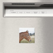 Sorrel Horse Portrait Equine Art Illustratie Magneet (Insitu (Vaatwasser))
