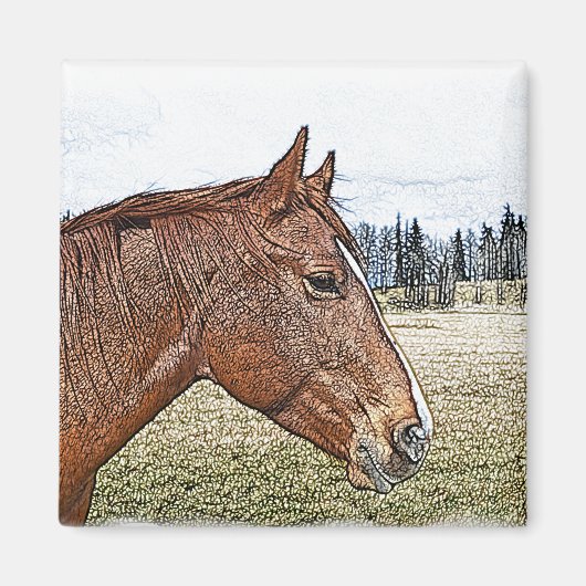 Sorrel Horse Portrait Equine Art Illustratie Magneet (Voorkant)