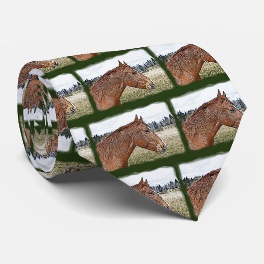 Sorrel Horse Portrait Equine Art Illustratie Stropdas (Opgerold)