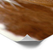 Sorrel Horse Poster (Hoek)