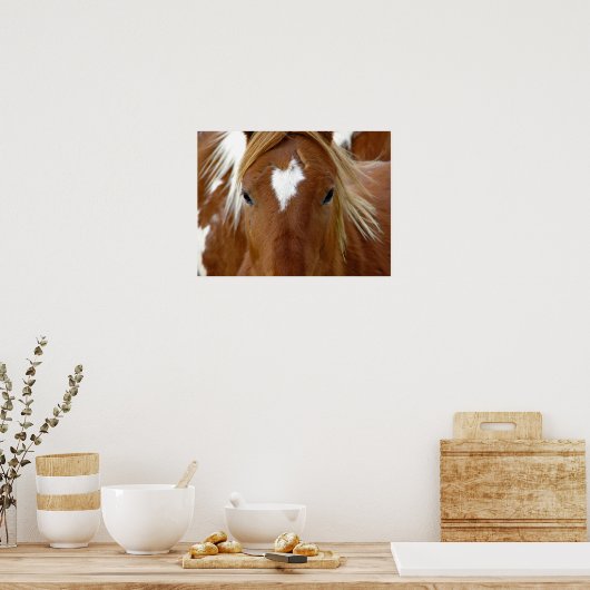 Sorrel Horse Poster (Keuken)