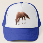 Sorrel Horse Trucker Hat Pet (Voorkant)