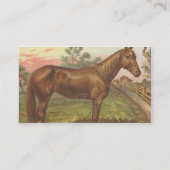  Sorrel Horse Visitekaartje (Achterkant)