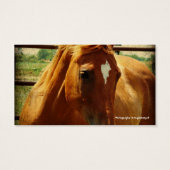 Sorrel in Ronde Pen Visitekaartjes (Achterkant)