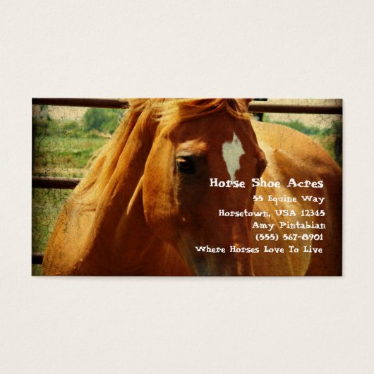 Sorrel in Ronde Pen Visitekaartjes (Voorkant)