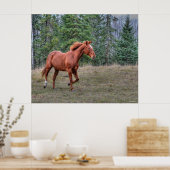 Sorrel Leader Mare Horse-liefhebbers Paardenfoto Poster (Keuken)