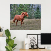 Sorrel Leader Mare Horse-liefhebbers Paardenfoto Poster (Thuiskantoor)
