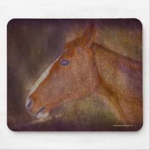 Sorrel Stallion in een Barn Stall-paardenkunst Muismat