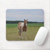 Sorrel Tobiano Paint Horse Muismat (Met muis)
