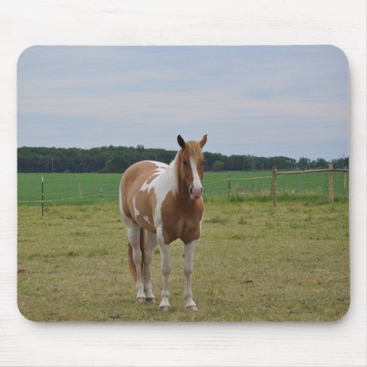 Sorrel Tobiano Paint Horse Muismat (Voorkant)