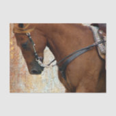 Sorrel Western Horse Grunge Tissuepapier (Voorkant)