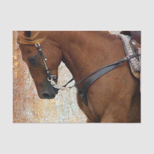 Sorrel Western Horse Grunge Tissuepapier (Voorkant)