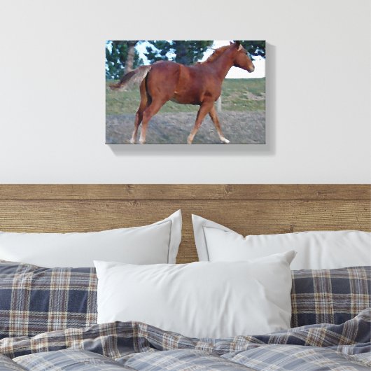 Sorrel Yearling Canvas Afdruk (Insitu (Slaapkamer))