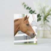 Sorrel Young Gelding Briefkaart (Staand voorkant)