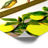 Sorrento, Italië Poster (Hoek)