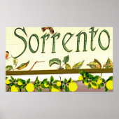 Sorrento, Italië Poster (Voorkant)