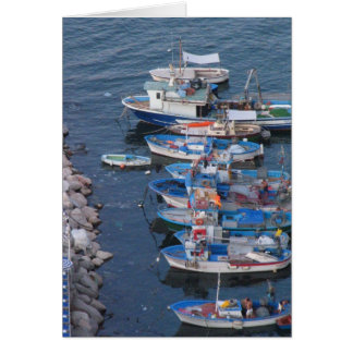 Sorrento Vissen Boats
