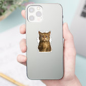 Sorrowful Kitty Thumbs Up Meme Sticker (Telefoon)