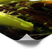 Sorry about our date. poster (Hoek)