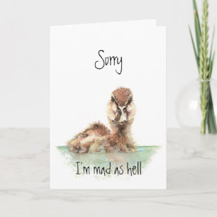 Sorry, boze eend, aanmoediging, baanverlies kaart