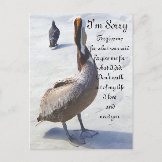 Sorry_ Briefkaart (Voorkant)