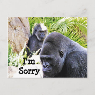 Sorry._ Briefkaart