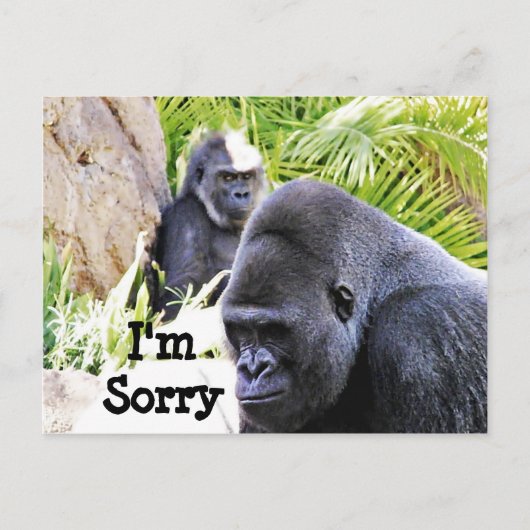 Sorry._ Briefkaart (Voorkant)
