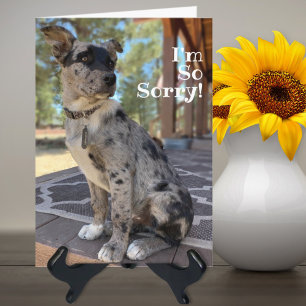Sorry Brindle Cattle Dog Verjaardag Gemist Kaart