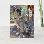 Sorry Brindle Cattle Dog Verjaardag Gemist Kaart (Voorkant)