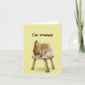 Sorry Bunny Rabbit Card Bedankkaart (Voorkant)