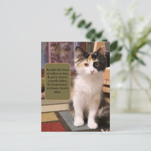 Sorry Calico Kitten Briefkaart (Staand voorkant)