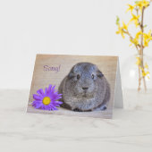 Sorry Cavia Kaart Gerbera Daisy (Gele Bloem)