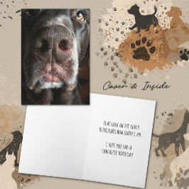Sorry Chocolade Lab Snuit Verjaardag Gemist Kaart