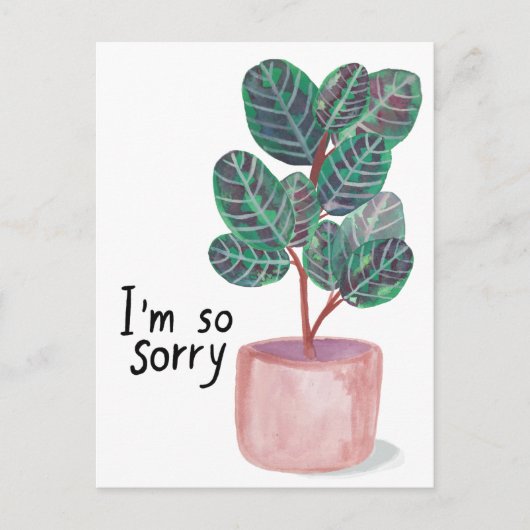 Sorry condoleances Calathea Prayer Plant Waterverf Briefkaart (Voorkant)