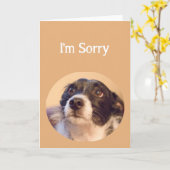 Sorry dat Cute Repentant Dog blanco in zit Kaart (Gele Bloem)