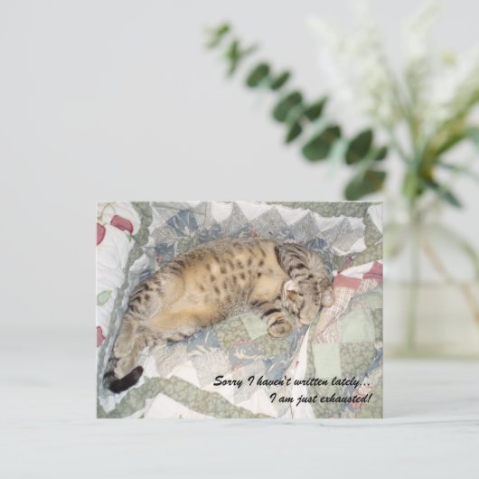 Sorry dat ik de laatste tijd niet geschreven heb.. briefkaart (Staand voorkant)