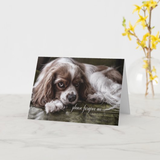 Sorry dat ik een beetje naar Cocker Spaniel Dog ki Kaart (Gele Bloem)