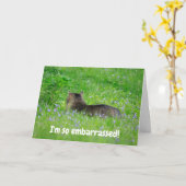 Sorry dat ik je verjaardag gemist heb kaart (Gele Bloem)