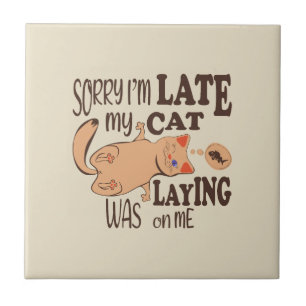 Sorry dat ik laat ben dat mijn kat op me lag tegeltje