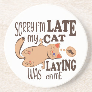 Sorry dat ik laat ben dat mijn kat op me lag zandsteen onderzetter