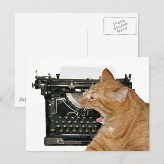 Sorry dat ik niet geschreven heb briefkaart (Voorkant / Achterkant)