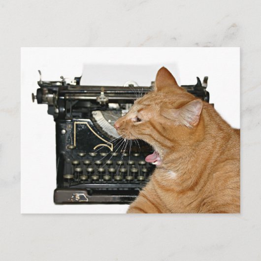 Sorry dat ik niet geschreven heb briefkaart (Voorkant)