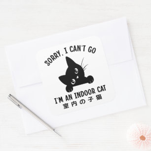 Sorry dat ik niet kan gaan, ik ben een grappig kat vierkante sticker