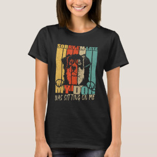 Sorry dat ik te laat ben. Mijn hond zat op me in A T-shirt