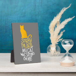 Sorry dat ik te laat ben... mijn kat zat op me te fotoplaat